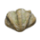 조개껍질
